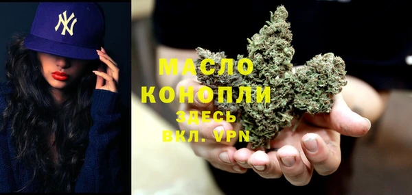 индика Армянск