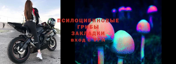 индика Армянск