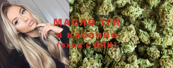 индика Армянск