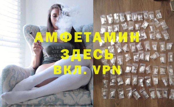 индика Армянск