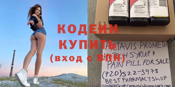 индика Армянск