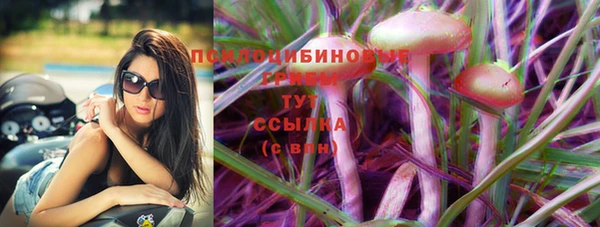 индика Армянск