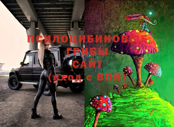 дмт Аркадак