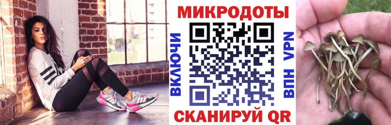 Псилоцибиновые грибы прущие грибы Белая Калитва